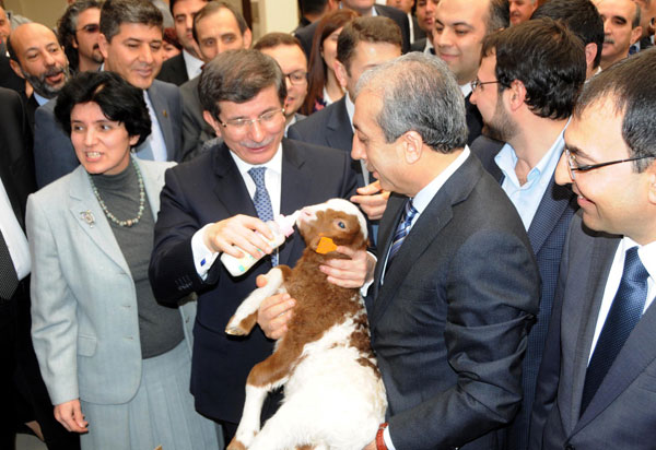 davutoglu-kuzuya-sur.jpg