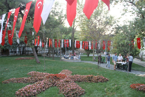 millet-gezi.jpg