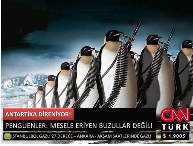 penguen_1199.jpg