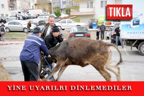 uyarilari-dinlemediler.jpg